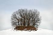 loonse en drunense duinen 1-2010 9264